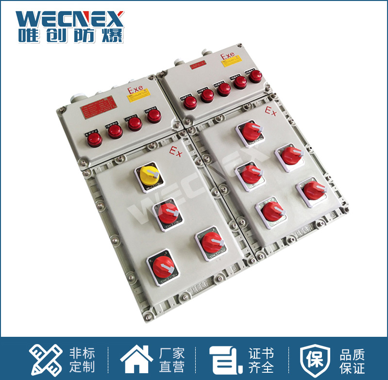 BXX 防爆動力檢修箱