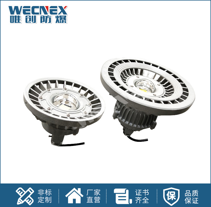 BWD130防爆LED照明燈10W-100W