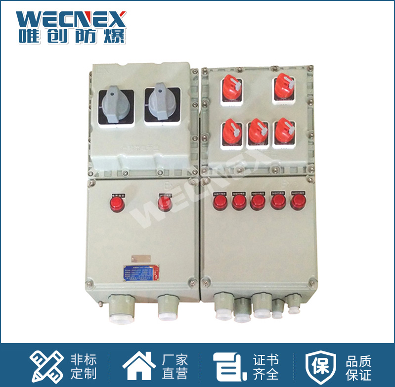 BXX 防爆動(dòng)力檢修箱